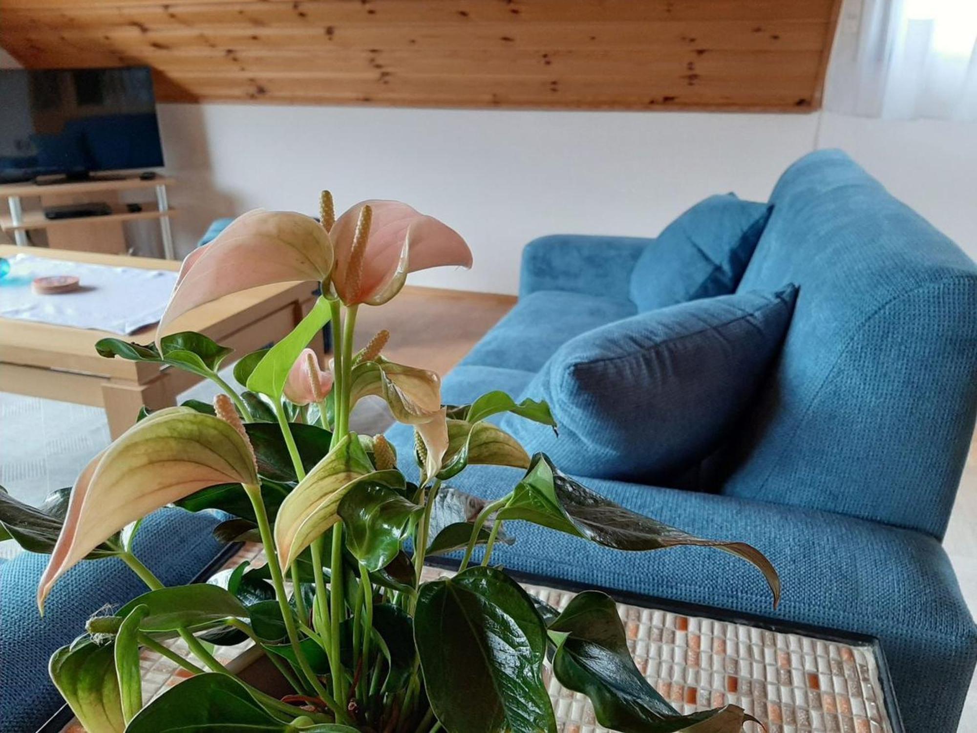 Ferienwohnung Am Patenberg Finnentrop エクステリア 写真